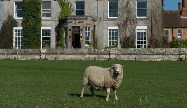 Double room-Standard-Ensuite with Bath-Garden view-Room 12