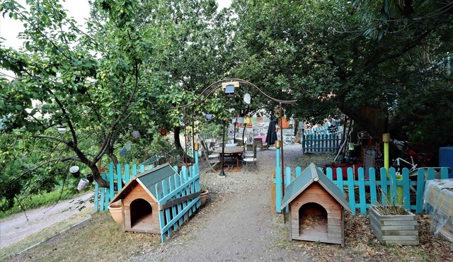 Double room-Traditional-Private Bathroom-Mountain view