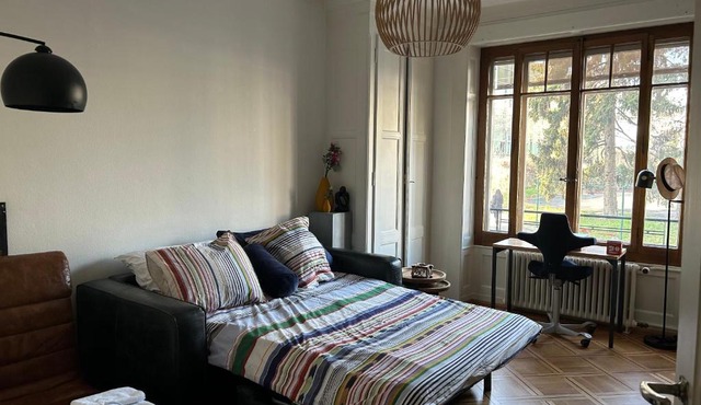 Doubleroom, Kitchen, free transport card- Geneva Lake