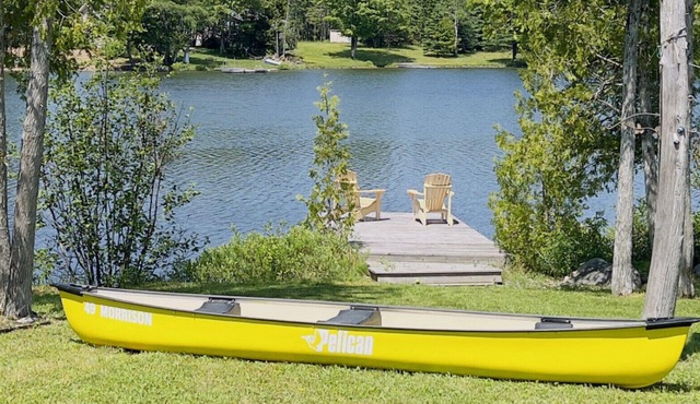 Douglas Lake Paradise (A)