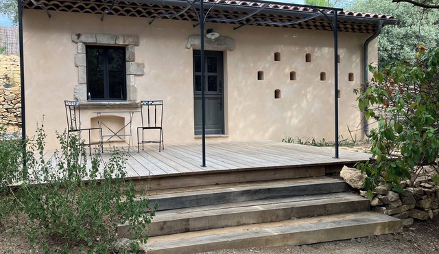 Dove in the heart of the garrigue nimoise