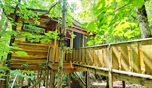 Dove Treehouse: Treetop Bliss on Monteagle