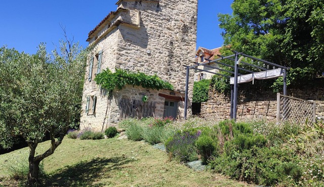 Dovecote of felines "calm and nature"