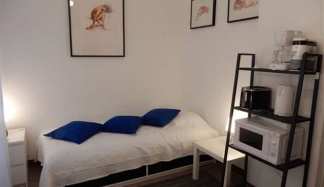 Downstairs nature studio