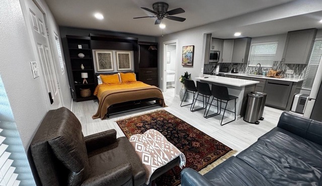 Downstairs Vibrant, Upgraded & Central Guesthouse in Hyde Park