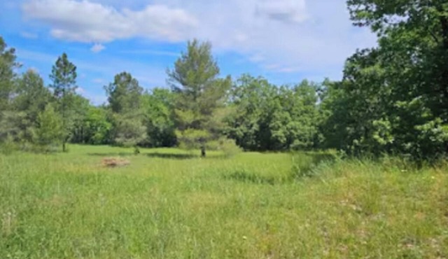 DOWNSTAIRS VILLA IN A WOODED PARK, IN THE HEART OF NATURE