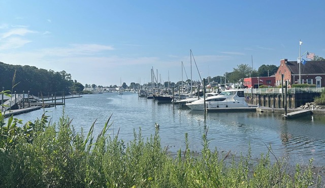 Downtown 2br/1ba apartment - free parking, outdoor patio & walk everywhere