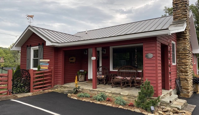 Downtown 3 BR Fenced yard-Pets OK