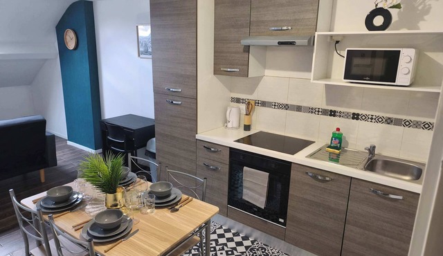 Downtown Apartment with Private Garage