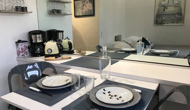 Downtown apartment ideal for curists. rated 1 star.