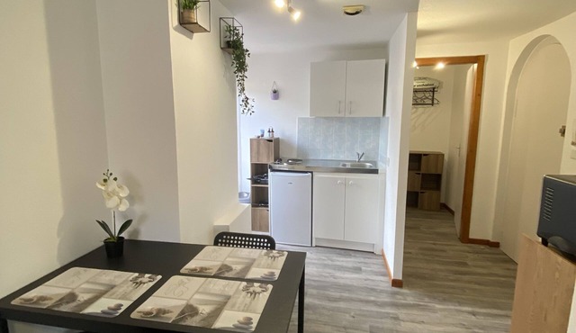 downtown apartment at the foot of the Vosges