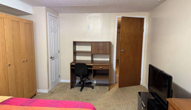 Downtown/beside university of Guelph for Professionals