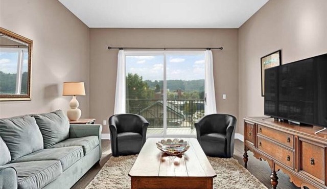 Downtown! Brand New! Luxury Condo In The Heart Of Asheville!