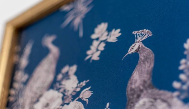 Downtown Charm: Pets Welcomenn