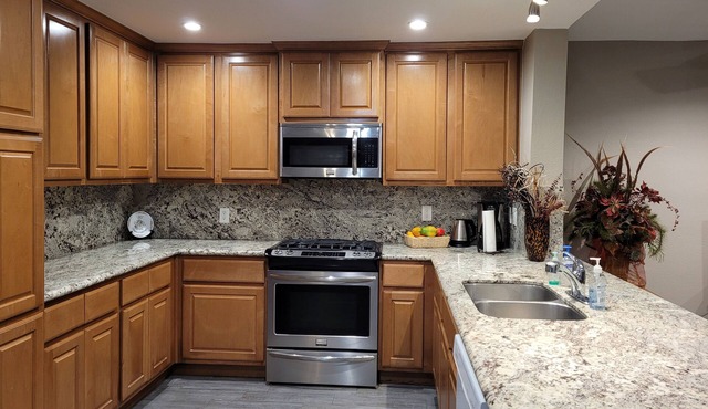 Downtown/China Town/ NRG Stadium