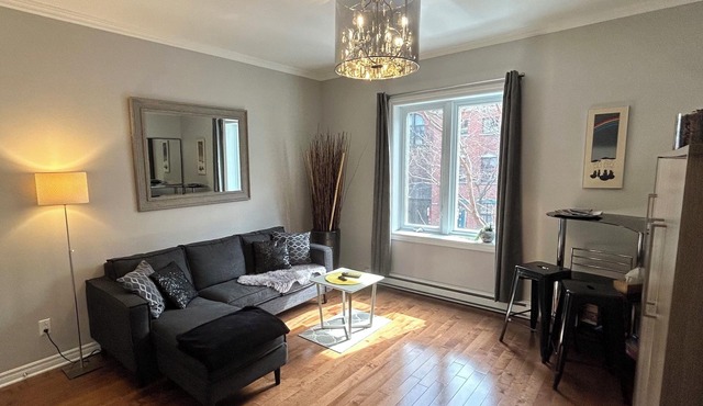 Downtown condo w/terrasse -Comfortable, quiet haven in the midst of everything!