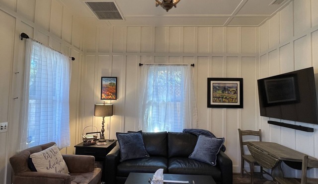 Downtown Cozy Cottage, two blocks from downtown and new!
