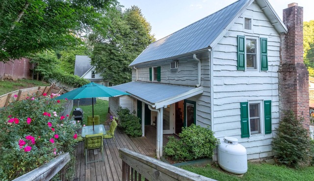 Downtown, dog-friendly, Dillsboro home w/fireplace - front porch & back deck