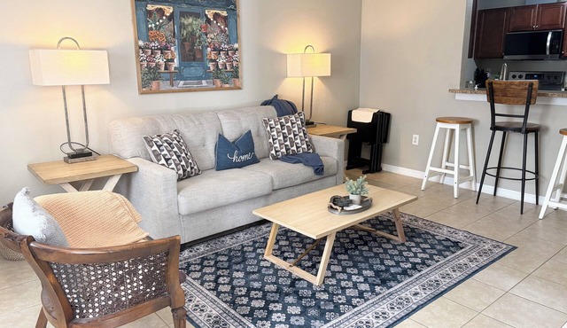 Downtown Gem! Stylish for Triathletes/Families 839