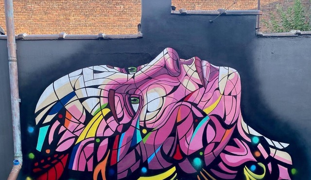 Downtown Hot Springs! Spacious outdoor area! Walking distance to bathhouse row.