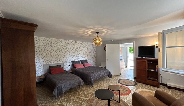 Downtown La Roche-Posay apartment, garden, terrace, WIFI, dishwasher