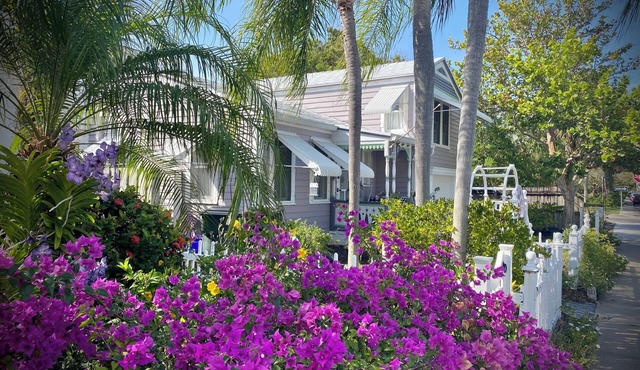 DOWNTOWN LAVENDER HOUSE FARMHOUSE COTTAGE PARROT COVE WALK TO BEACH BARS DINING