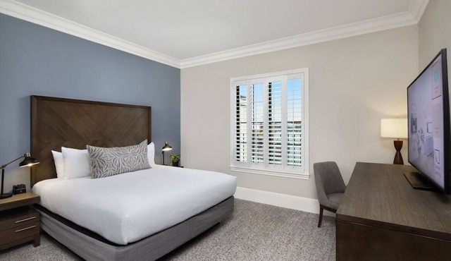 Downtown Location! Two Classy and Pet-friendly Accommodations with Free Parking!