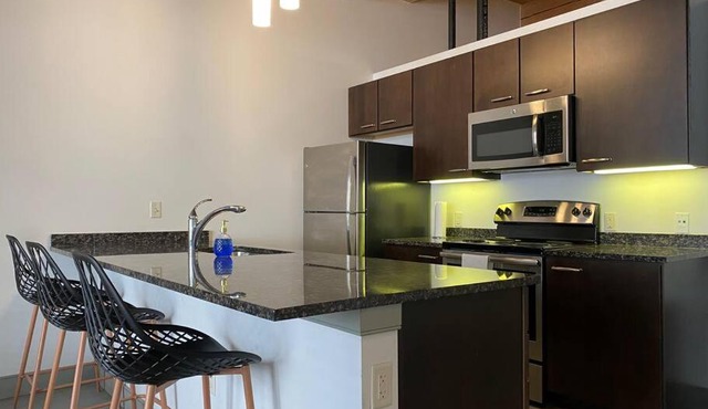 Downtown Loft with Skyline View