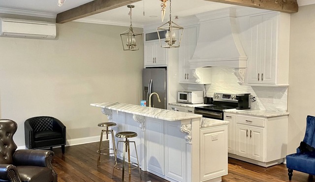 Downtown luxury apartment