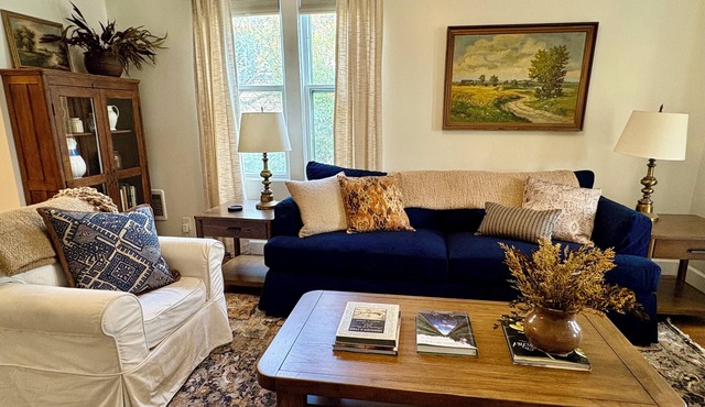 Downtown Luxury Apartment