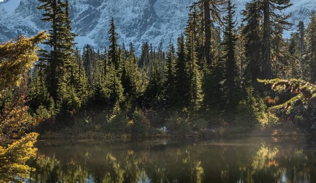 Downtown Maple Falls Lodge