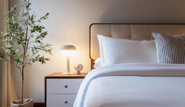 Downtown New Haven, Spacious Stay by Yale - AO Destinations