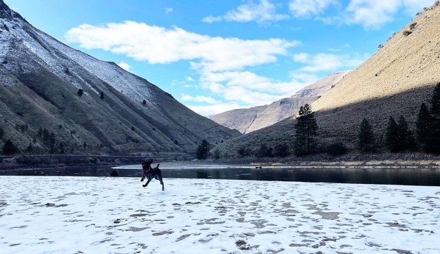 Downtown Riggins Condo just steps to the Seven Devils Saloon!