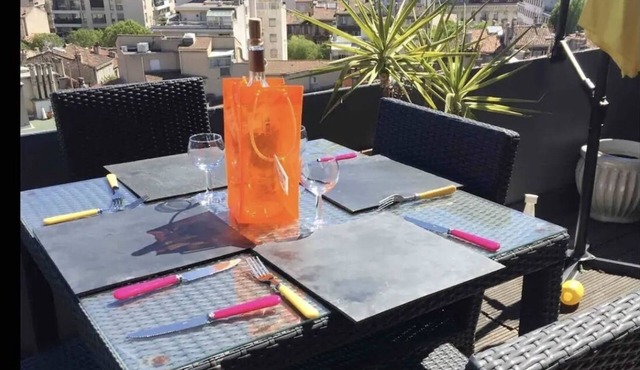 Downtown roof top with large south-facing terrace and private parking.