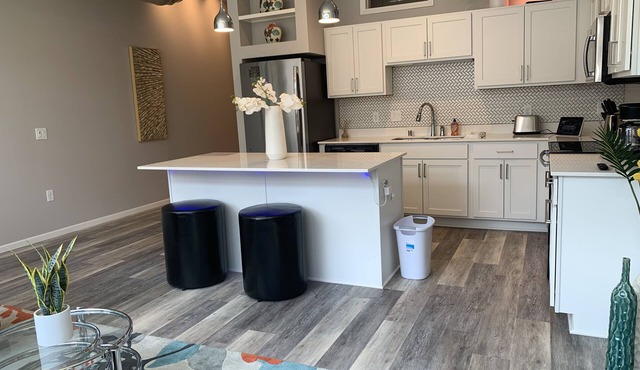 Downtown Saint Paul 1 Bd, 1 Bath Apartment at R7 Lofts