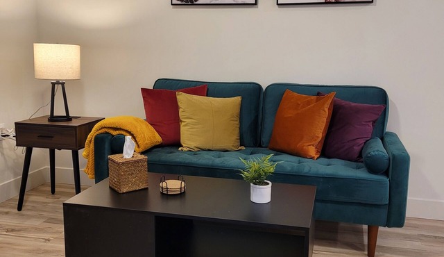 Downtown SLC Apt w/pool, hot tub, gym, fast internet