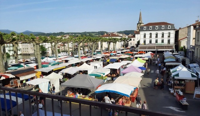 Downtown studio apartment