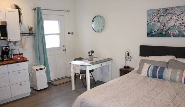 Downtown Studio - Peacock