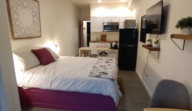 Downtown Studio - Plum