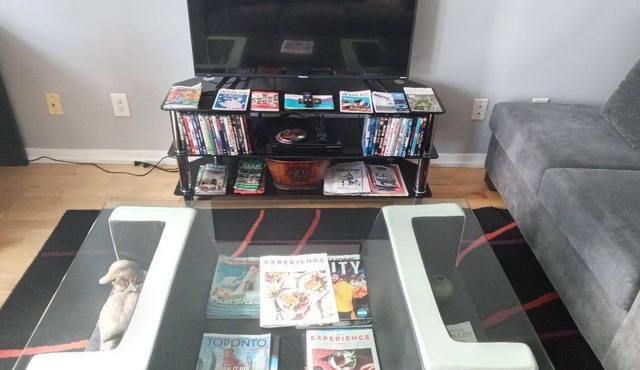 DOWNTOWN TORONTO LUXURY FURNISHED SUITE CN TOWER MTCC RIPLEY's AQUARIUM CITY