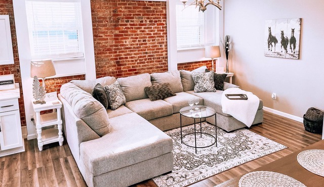 Downtown Upscale Apartment