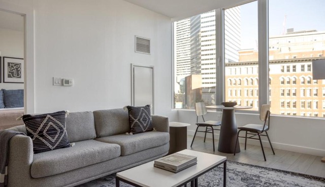 DowntownFinancial District 1br w wd gym BOS-799