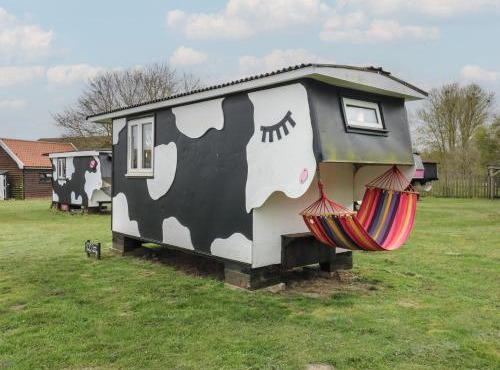 Dozy Dotty Cow Shed 4