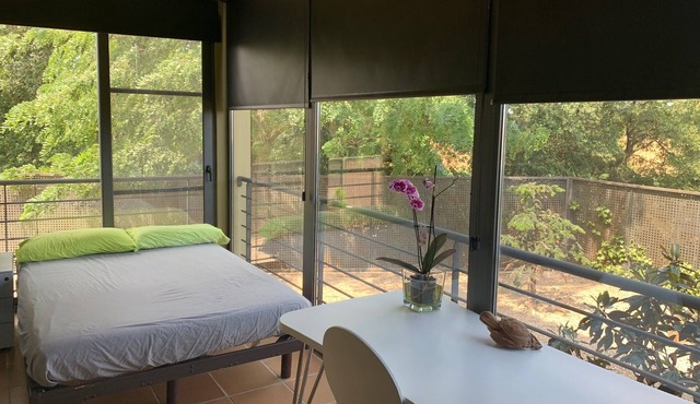 DRAC HOUSE EXCEPTIONAL TRANQUILITY PRIVATE POOL HOUSE