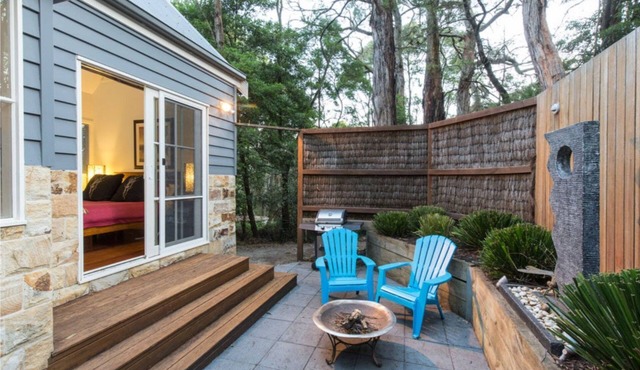 Dragon Fly on the Hill