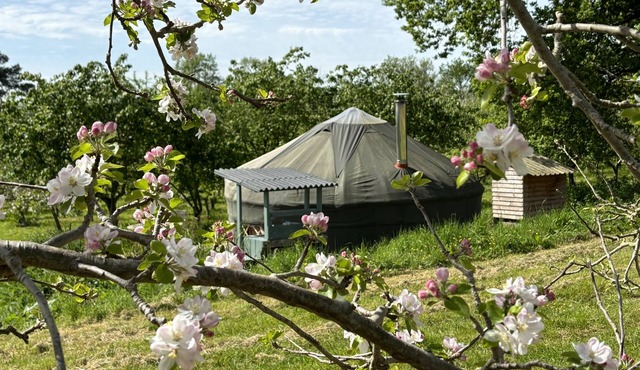 Dragon Orchard Retreat