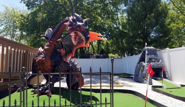 ★Dragon’s Lair★Private Home w/Arcade & Minigolf★