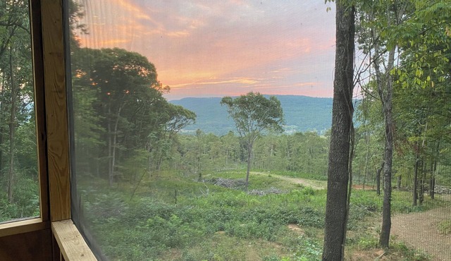 ~Dragonfly Cabin~ n20 private acres and Mountain View!