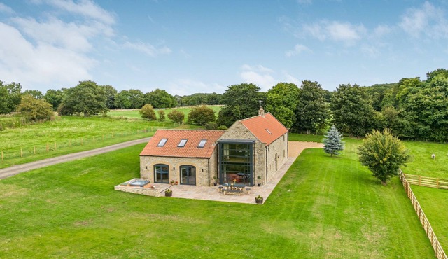 Dragonfly - Holiday At Home