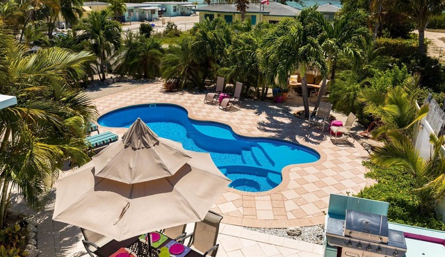 Dragonfly Lite – A tropical oasis with your own heated saltwater pool to enjoy!